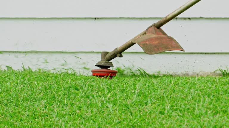 Best Lawn Watering Services  in Val Verde Park, TX